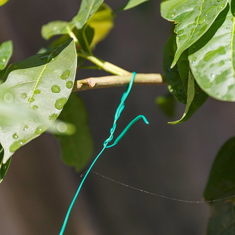 JDYYICZ 328 Feet (100m) Green Multi-Function Sturdy Garden Plant Twist Tie with Cutter/ Cable Tie/Zip Tie/ Coated Wire (1) (1 roll green) - Image 3